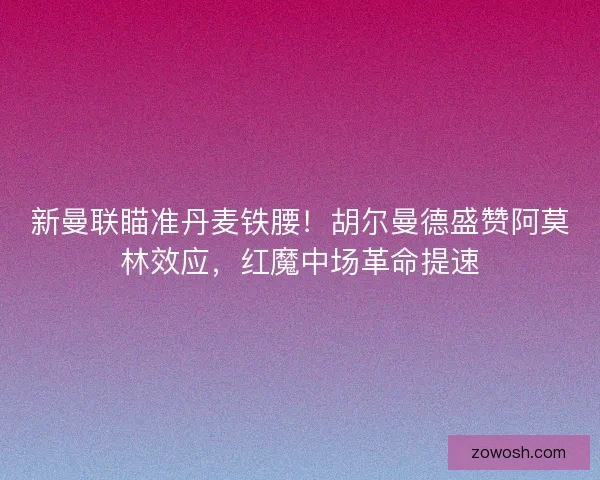 新曼联瞄准丹麦铁腰！胡尔曼德盛赞阿莫林效应，红魔中场革命提速