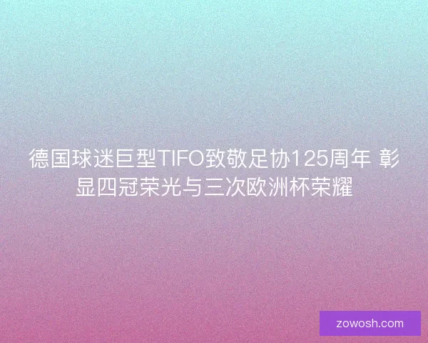 德国球迷巨型TIFO致敬足协125周年 彰显四冠荣光与三次欧洲杯荣耀